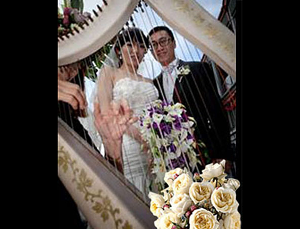 Sydney Wedding Harpist - Harp Player - Harp Music