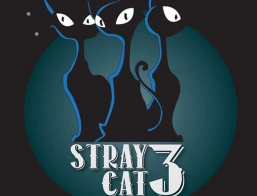 Stray Cat Three